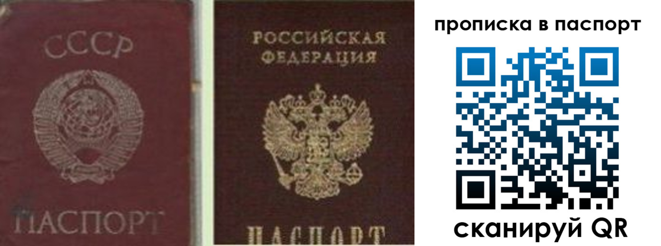 временная регистрация недорого в Алексине